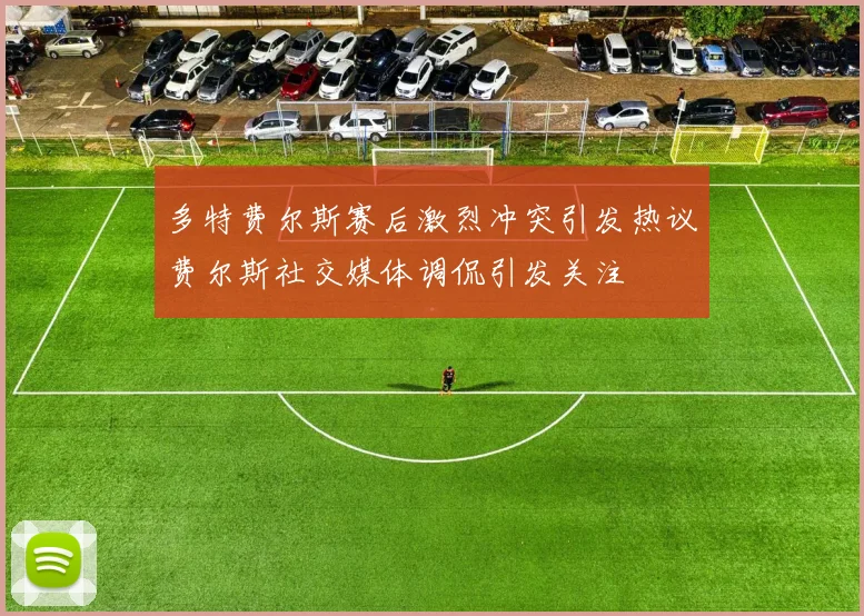 多特费尔斯赛后激烈冲突引发热议费尔斯社交媒体调侃引发关注