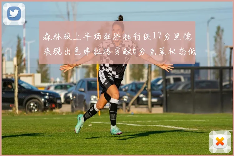 森林狼上半场狂胜独行侠17分里德表现出色弗拉格贡献6分克莱状态低迷未得分