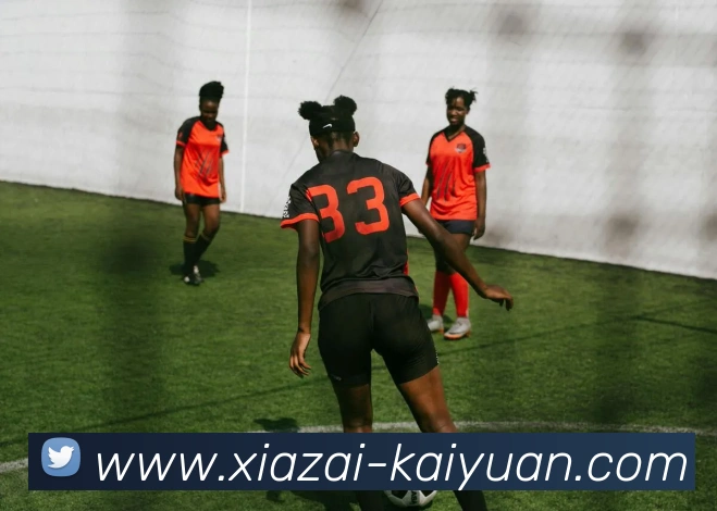 开元体育APP 高清赛事图